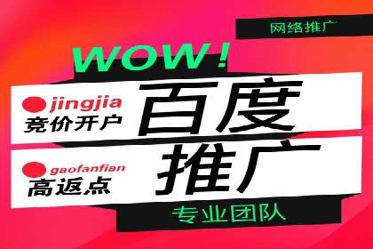 Sem优化公司成功案例：快速占领市场